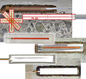 必赢亚洲(中国区)有限公司官网