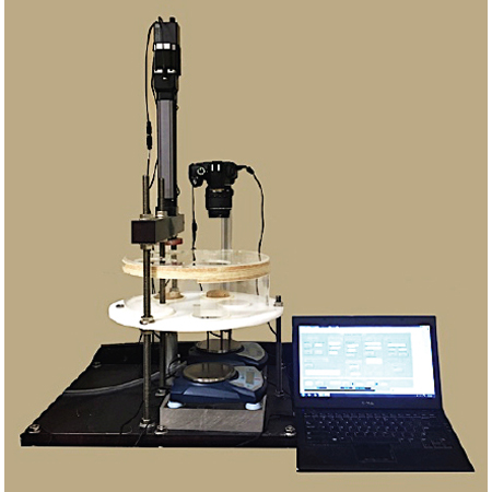 必赢亚洲(中国区)有限公司官网