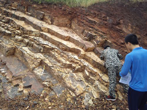 必赢亚洲(中国区)有限公司官网