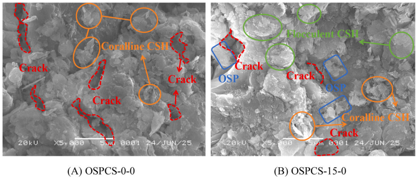 必赢亚洲(中国区)有限公司官网