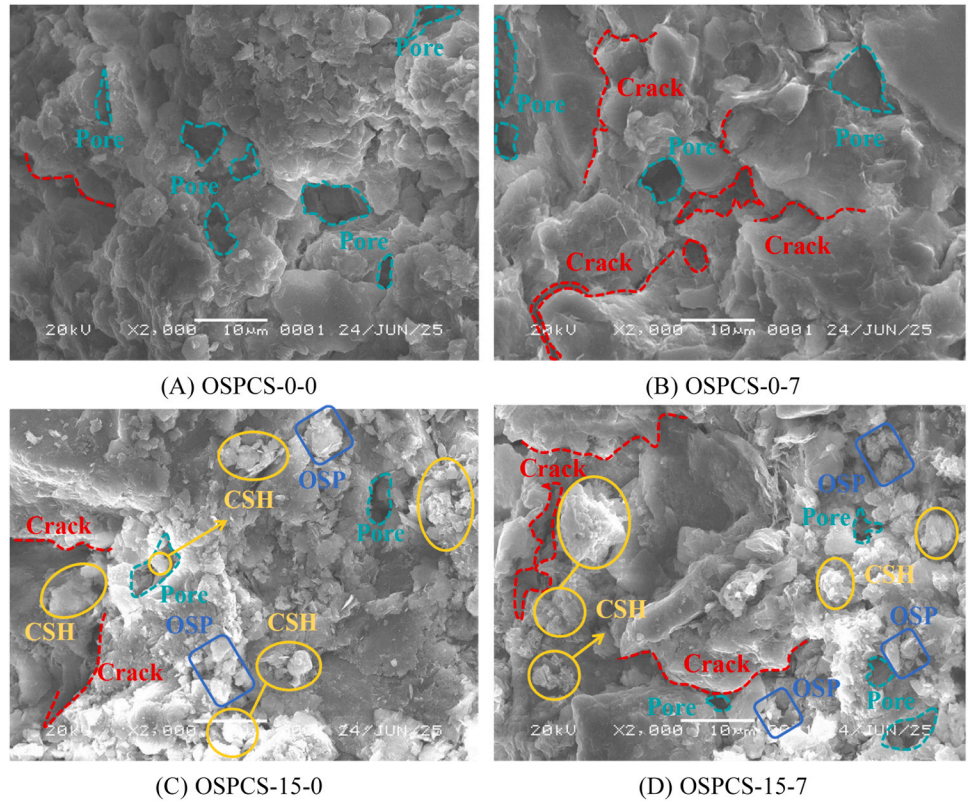 必赢亚洲(中国区)有限公司官网